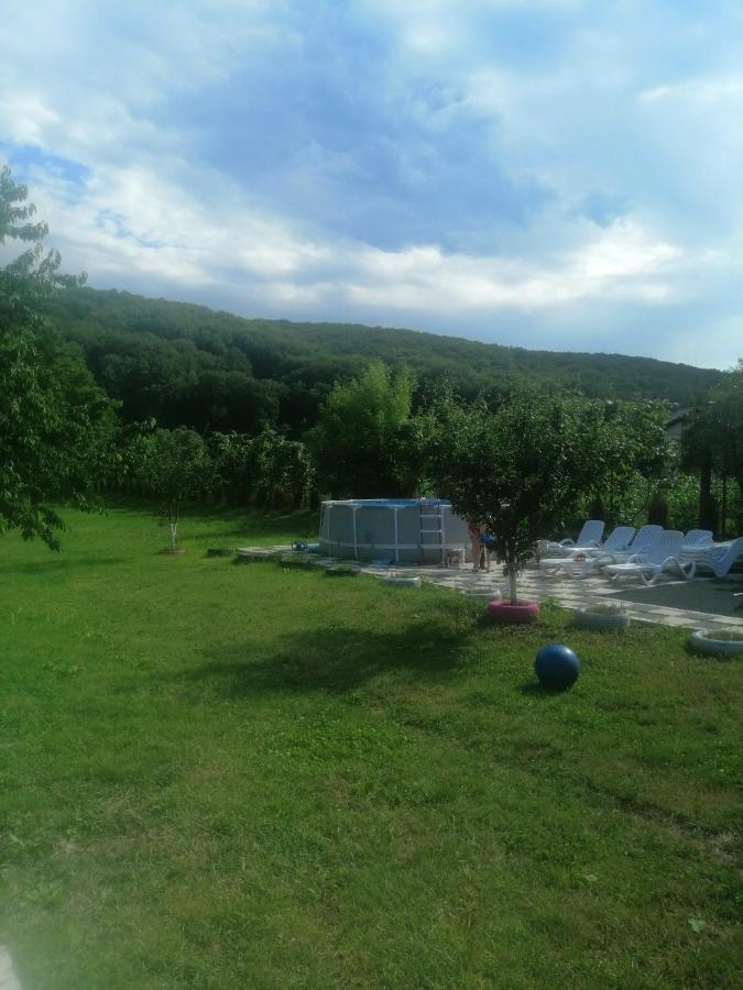 Casa Amaya Bacău Exterior foto