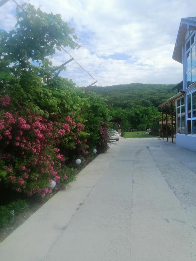 Casa Amaya Bacău Exterior foto